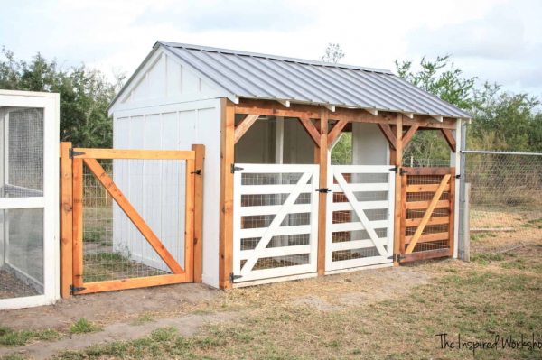 Desain Kandang Kambing Atap Seng